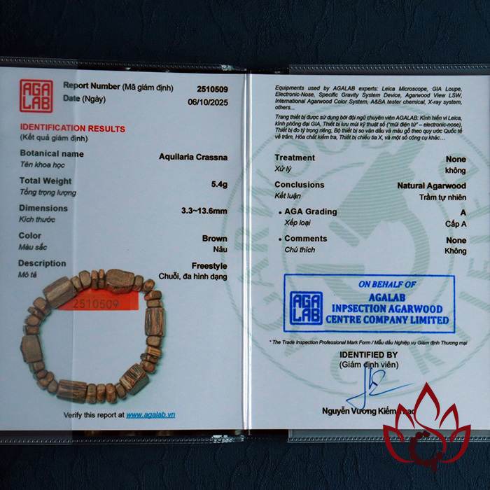 Vòng Trầm Hương Bất Quy Tắc | Trầm Kiến Tự Nhiên Lâu Năm